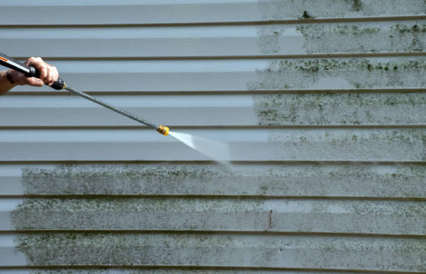 Trusted Brookhaven, WV Pressure Washing Services Experts